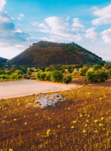 Divlit Volkanik Park 