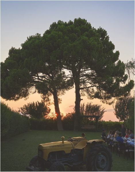  Lidya Antik Bağ Rotası